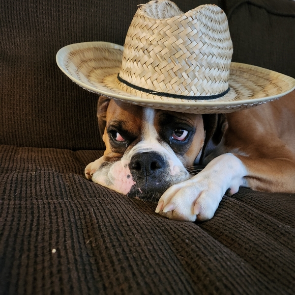 Meet your Posher, Sally - Picture 5 of 10